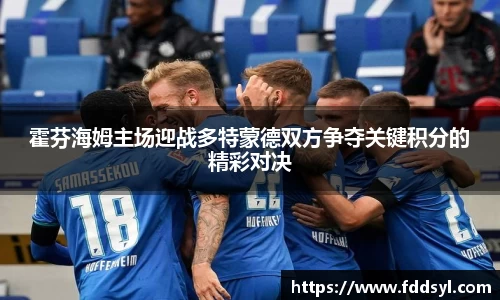 霍芬海姆主场迎战多特蒙德双方争夺关键积分的精彩对决
