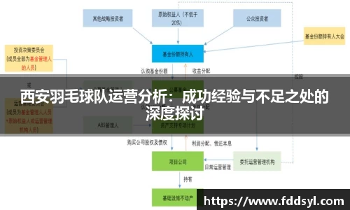 西安羽毛球队运营分析：成功经验与不足之处的深度探讨